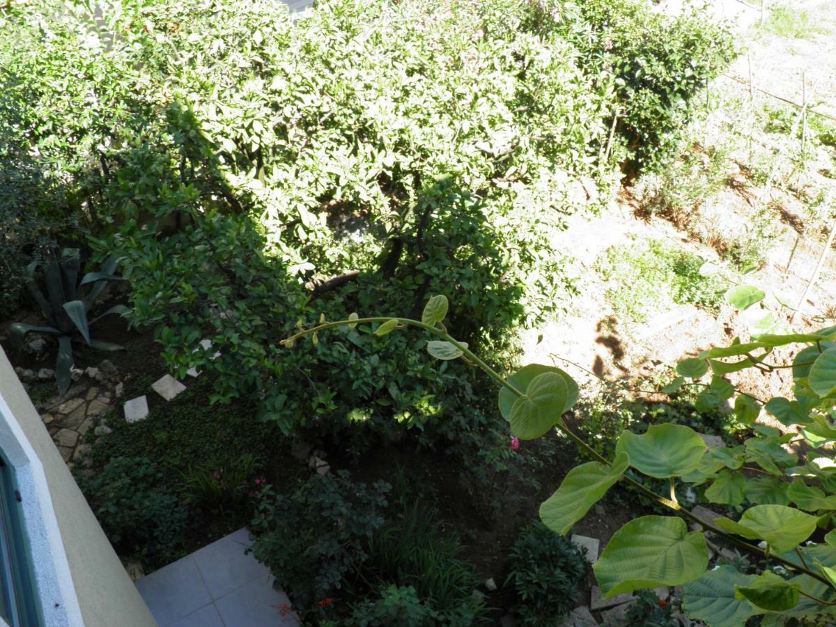 Apartman Mia Biograd Biograd Na Moru Extérieur photo